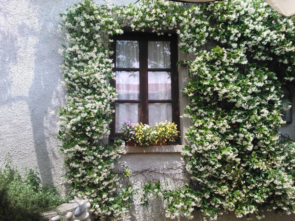 Agriturismo Cassinazza Orsenigo Oda fotoğraf