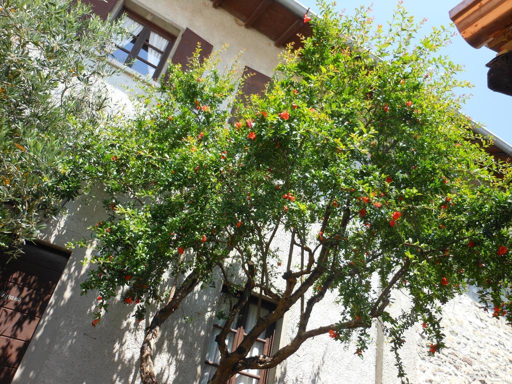 Agriturismo Cassinazza Orsenigo Dış mekan fotoğraf