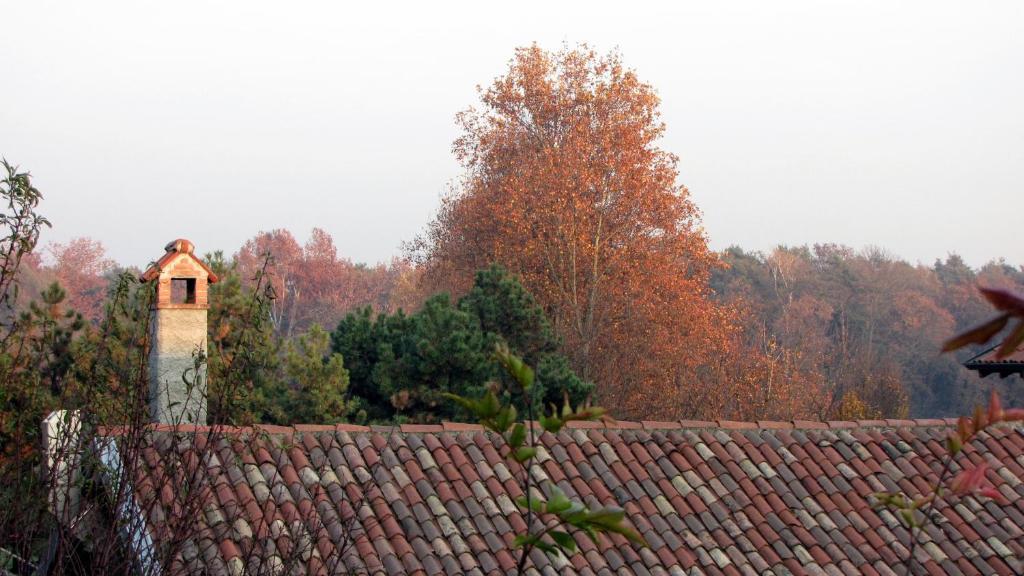 Agriturismo Cassinazza Orsenigo Dış mekan fotoğraf